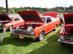 P1010053.JPG